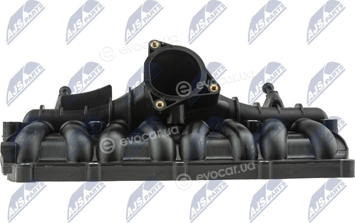 NTY BKS-VW-015