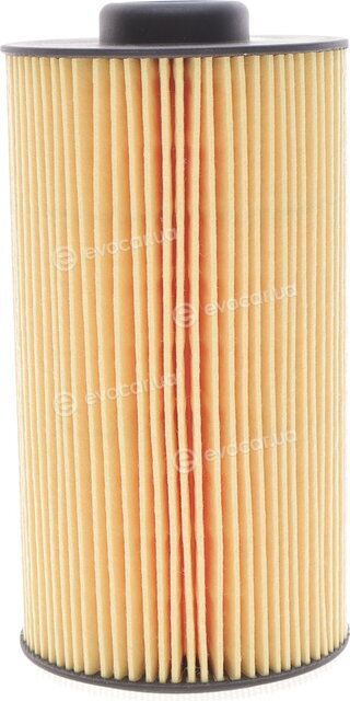 Hengst E202H01 D34
