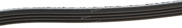 Dayco 4PK1025