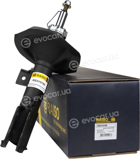 Raiso RS315196