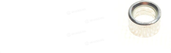 AIC 55361