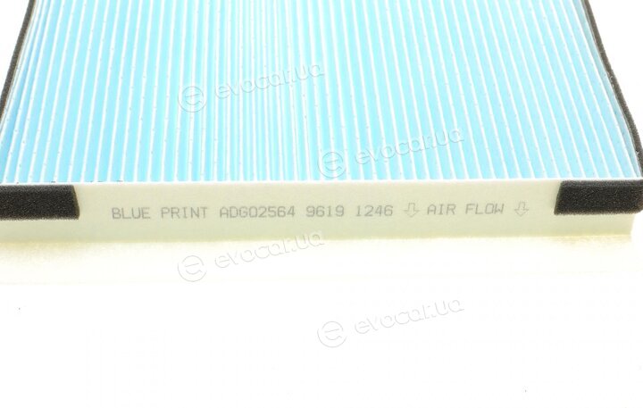 Blue Print ADG02564