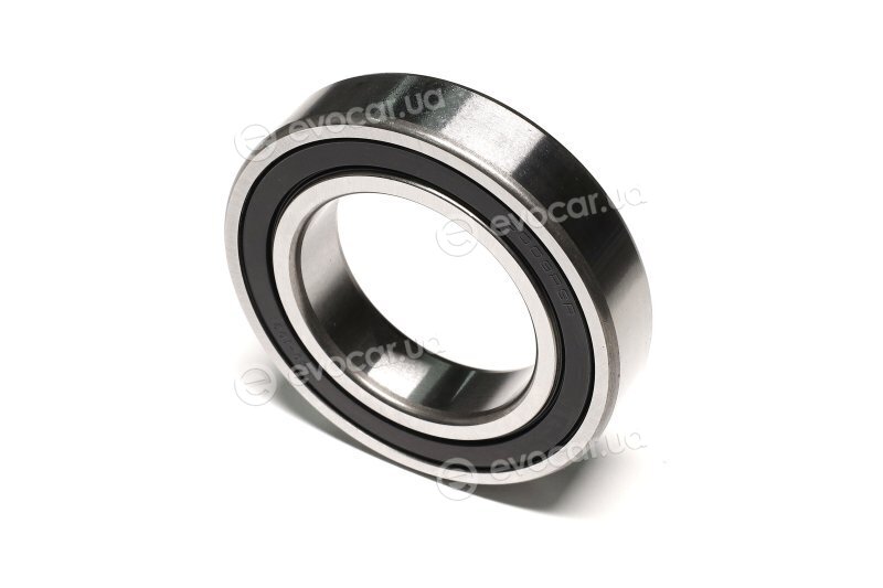 FAG 6009.2RSR