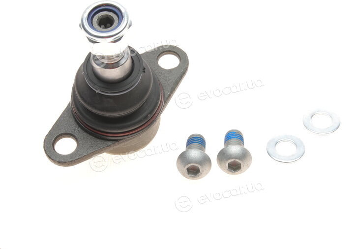 SKF VKDS 318509