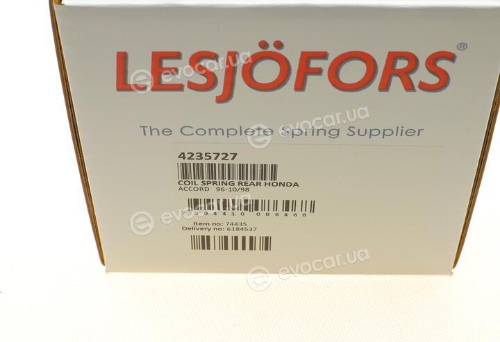 Lesjofors 4235727