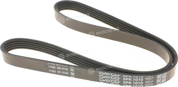 Dayco 5PK1010HD