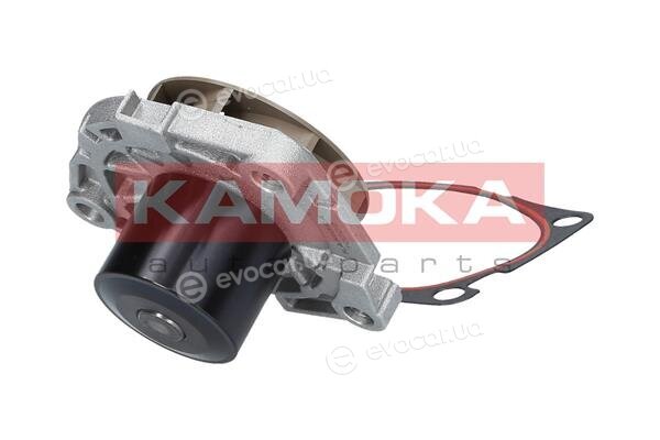 Kamoka T0003