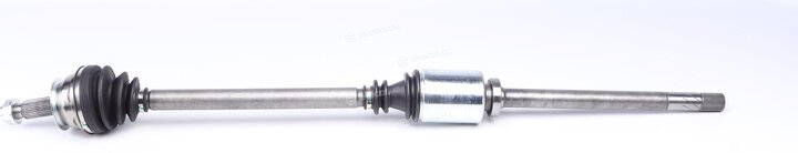 GSP 244022