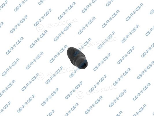 GSP 540166