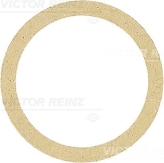 Victor Reinz 71-34244-00