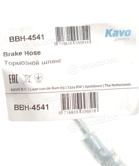 Kavo BBH-4541