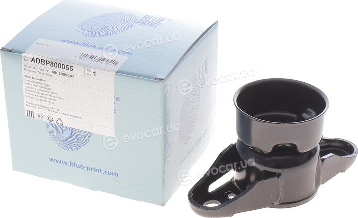 Blue Print ADBP800055