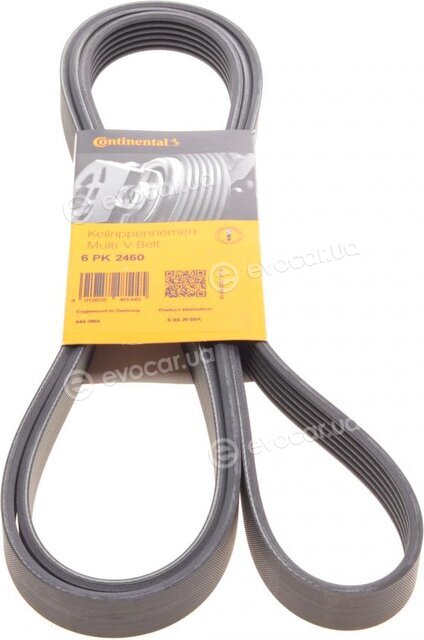 Continental / Contitech 6PK2460