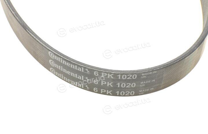 Continental 6PK1020