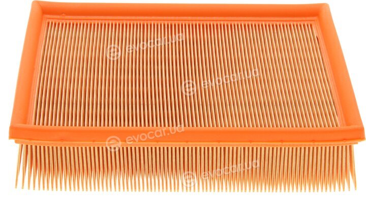 Mann C 25 114