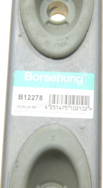 Borsehung B12278