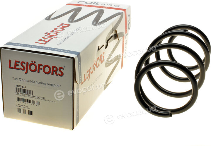 Lesjofors 4095131
