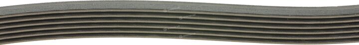 Dayco 6PK1795