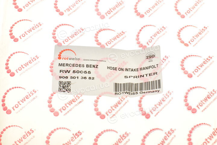 Rotweiss RW50055