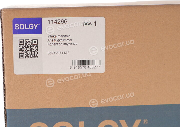 Solgy 114296