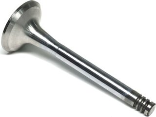 Gunes 0250