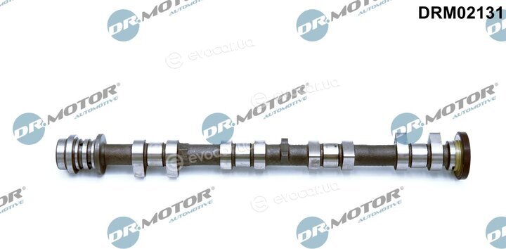 Dr. Motor DRM02131