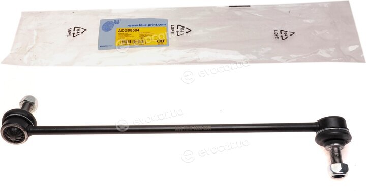 Blue Print ADG08584