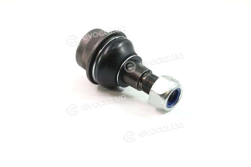 SKF VKDS 318009