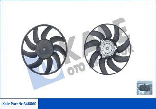 Kale 346860