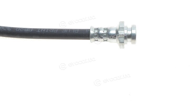 Blue Print ADBP530034