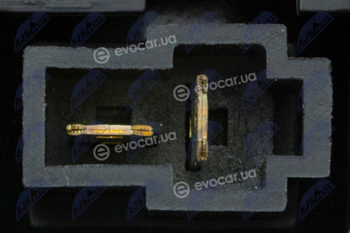 NTY EWN-HY-005