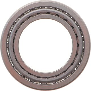 Solgy 214092