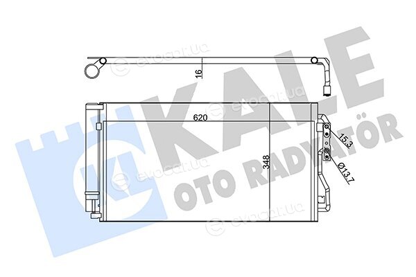 Kale 350530