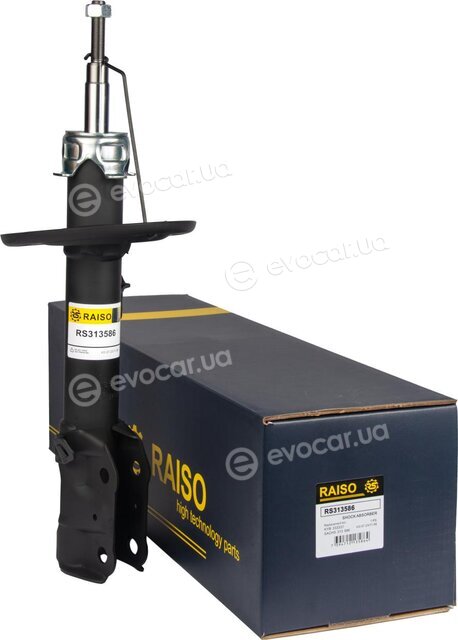 Raiso RS313586