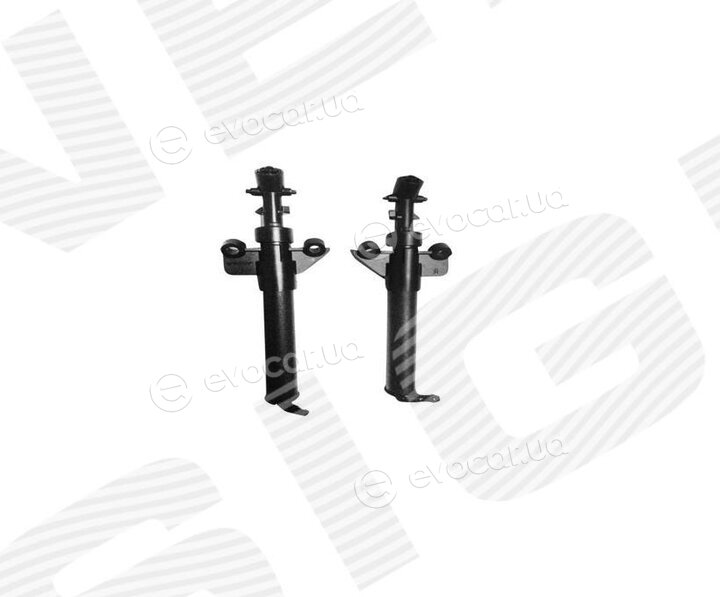 Signeda PVVWG004R