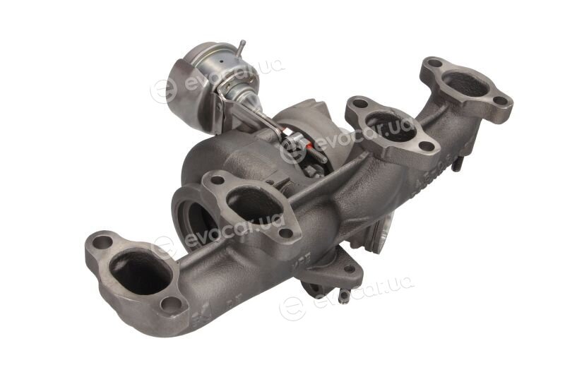 BorgWarner 54399900072