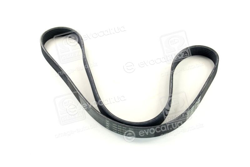 SKF VKMV 6PK1270