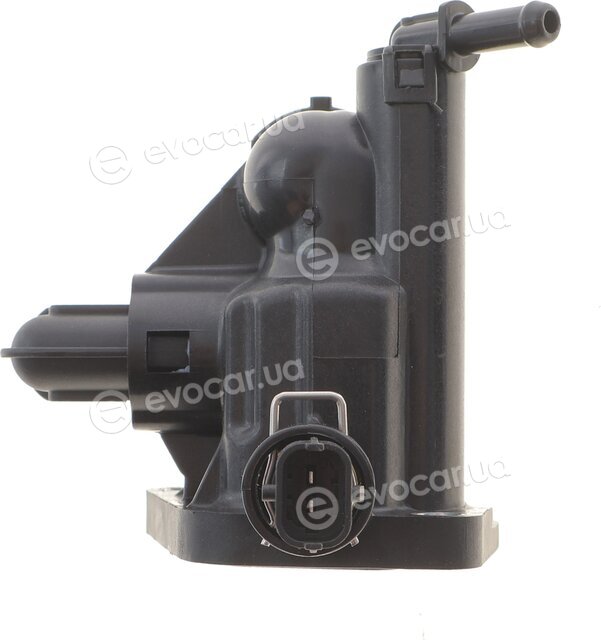 Adler 1607738580