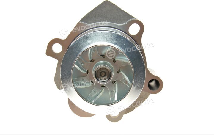 Continental WP6072
