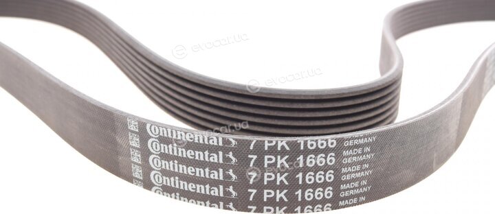 Continental 7PK1666