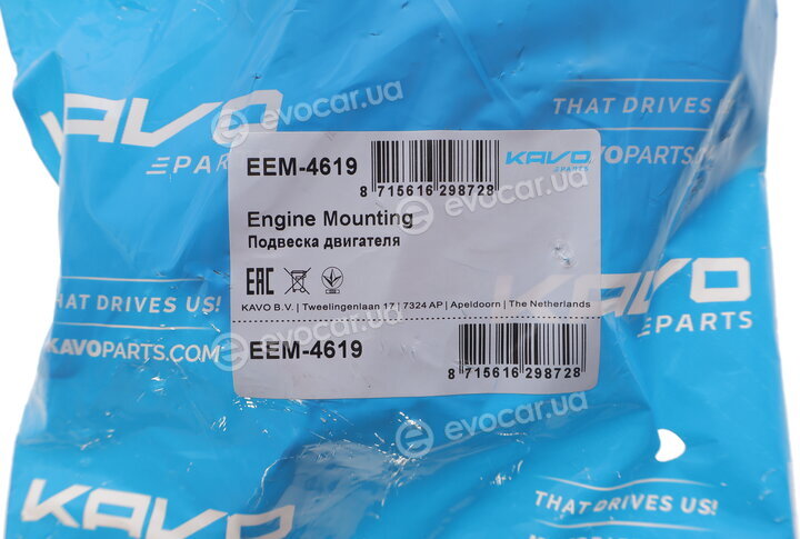 Kavo EEM-4619