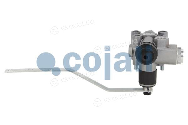 Cojali 2314319