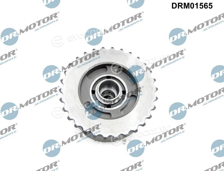 Dr. Motor DRM01565
