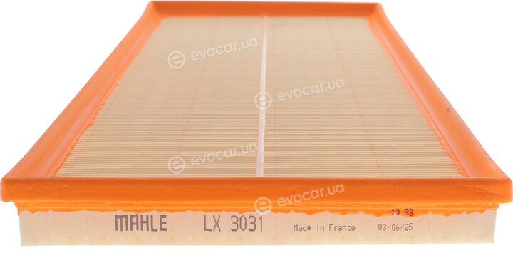 Mahle LX 3031