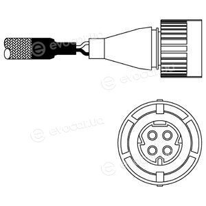 Delphi ES10986-12B1