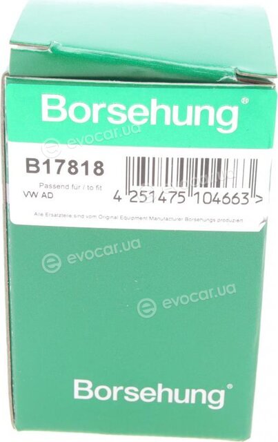 Borsehung B17818