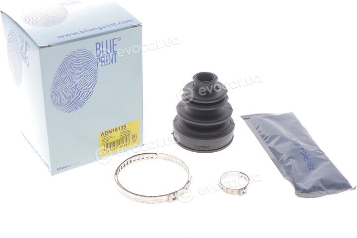 Blue Print ADN18135