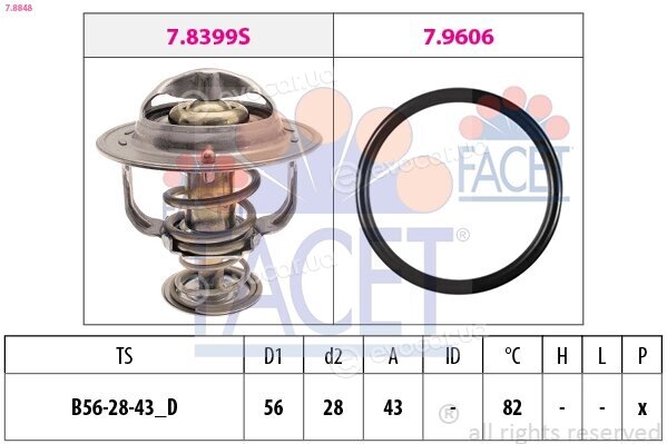 Facet 7.8848