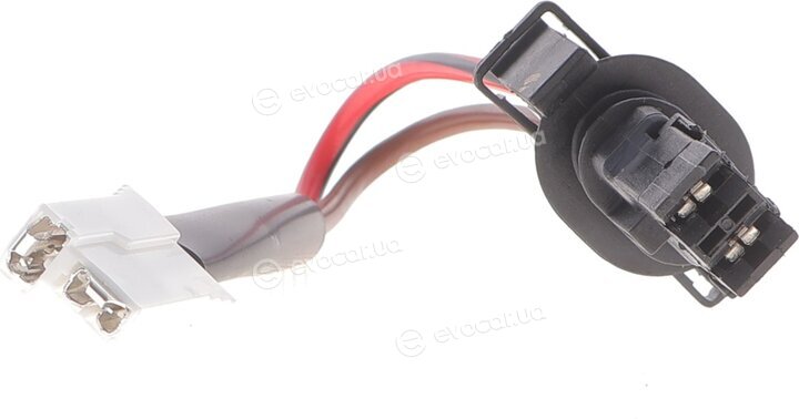 AIC 53036