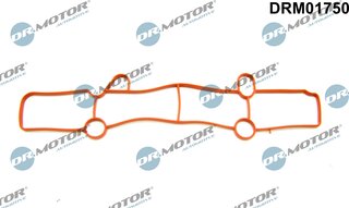 Dr. Motor DRM01750